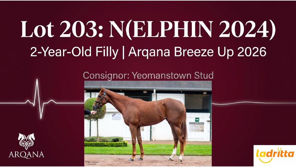 Lot 203: N(Elphin 2024)