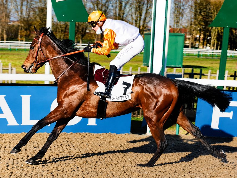 Shantisara in azione a Chantilly